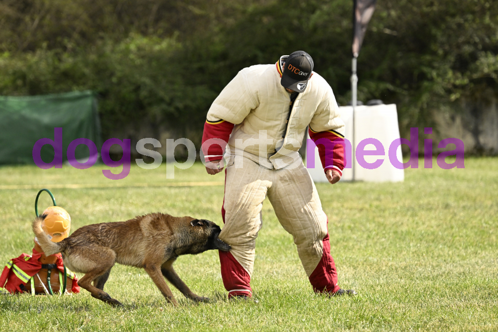 Preview _JRI_20799.jpg